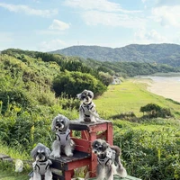 画像1204