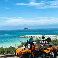 画像240