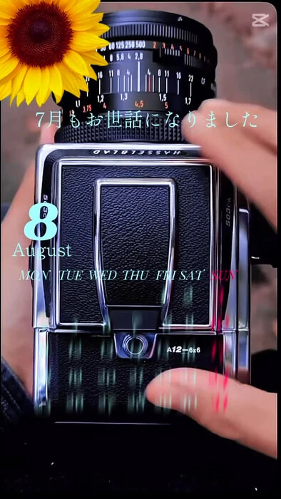 画像242