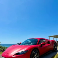 画像254