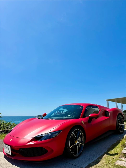 画像254