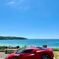 画像255