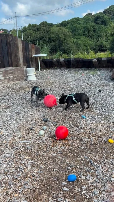 画像336