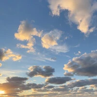 画像359