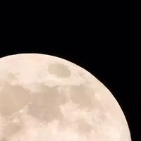 画像381