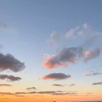 画像418