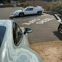 画像481