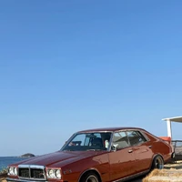 画像517