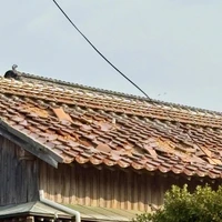 画像564