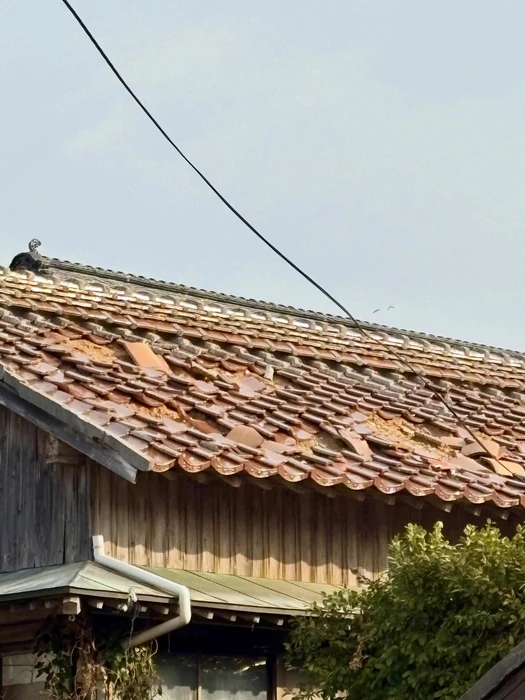 画像564