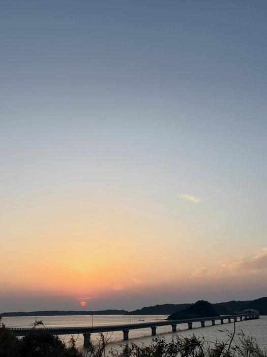 画像649