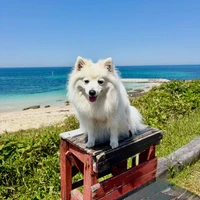 画像818