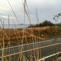 画像916